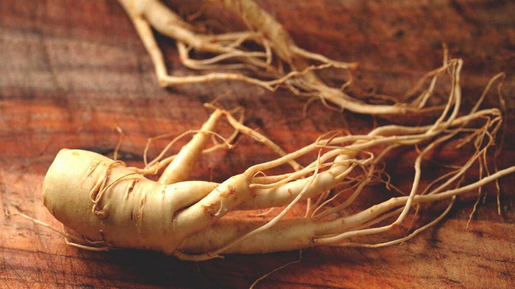 ρίζα ginseng για αύξηση της ισχύος